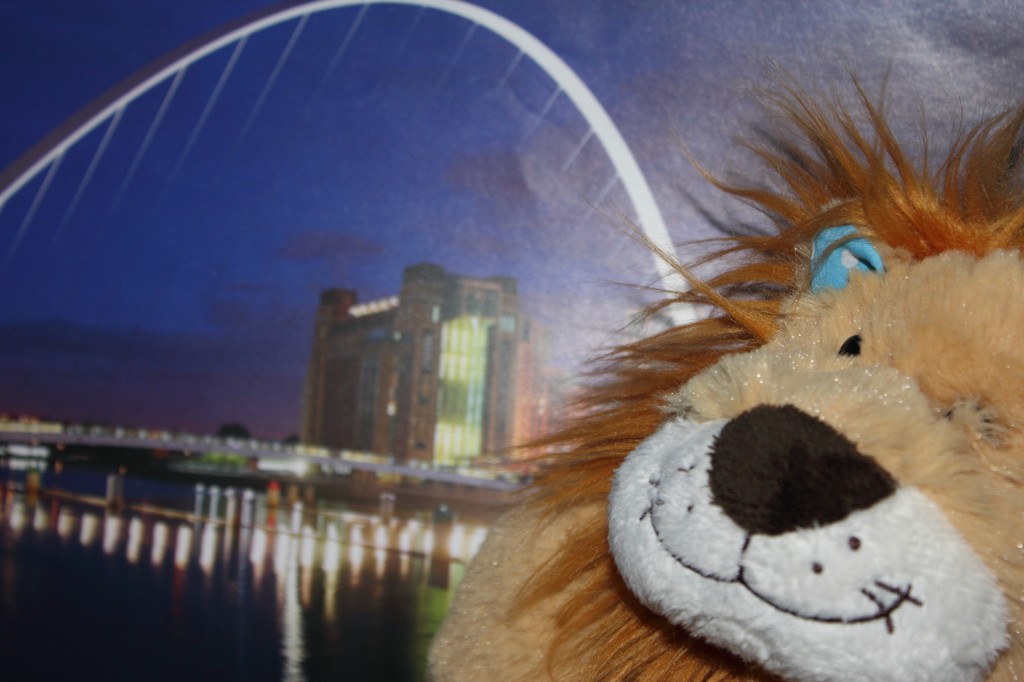 Lewis_Millennium Bridge Newcastle