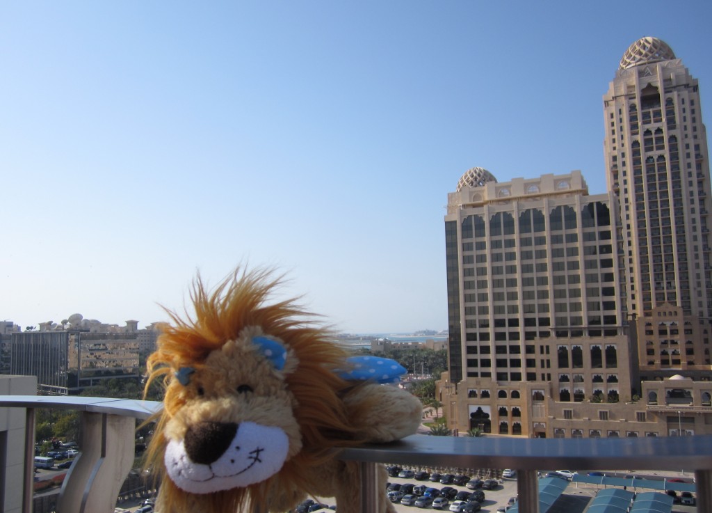 Lewis gazes out onto the Dubai beaches