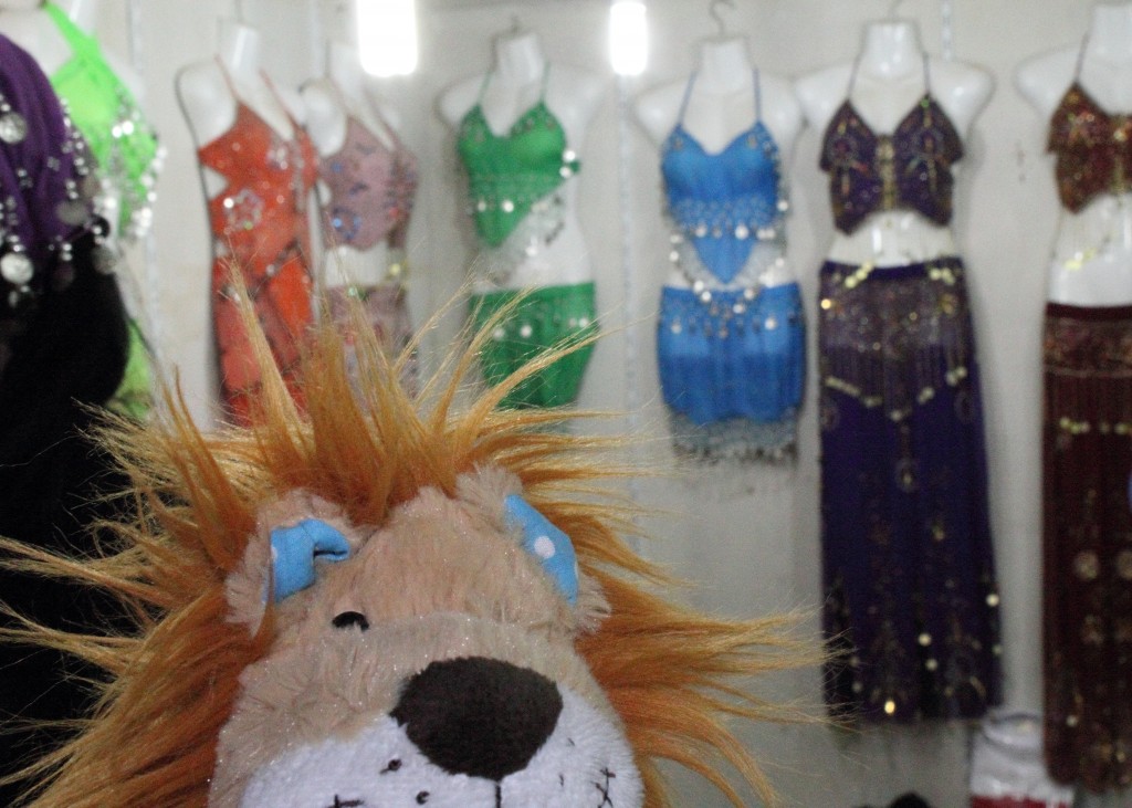 Lewis admires the glittering belly-dancing costumes