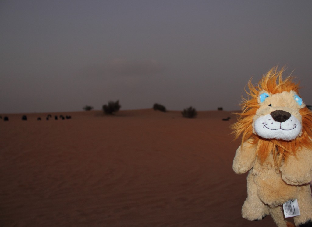 Lewis goes dune-bashing in the desert