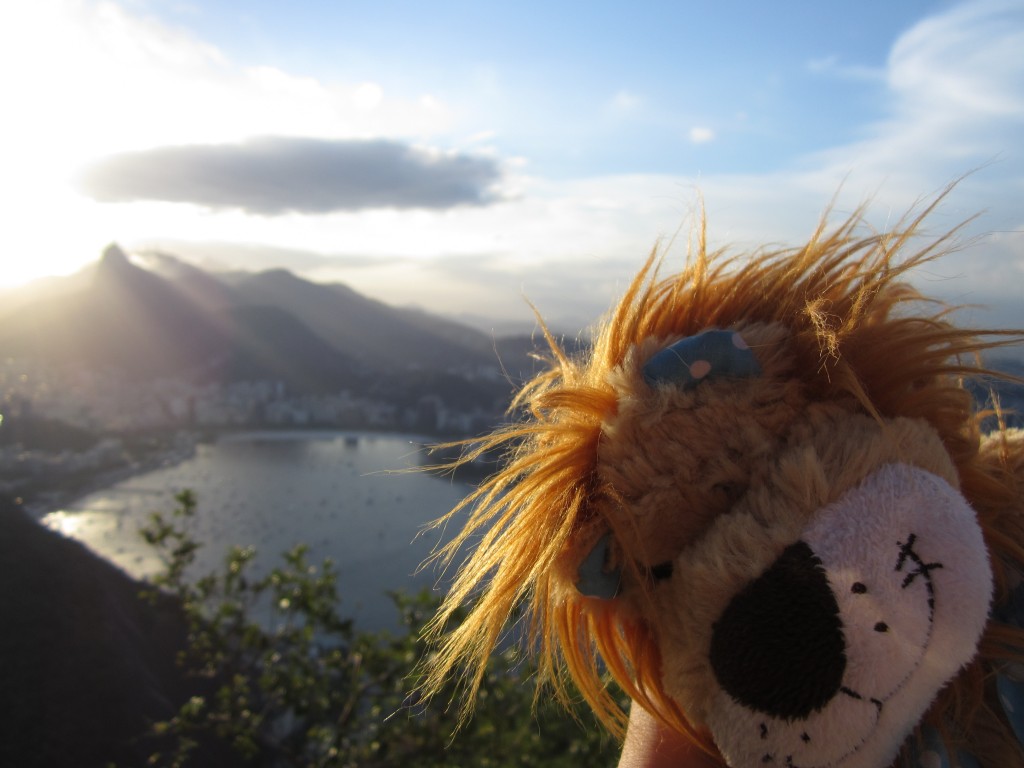 Lewis admires the views from Sugar Loaf Mountain