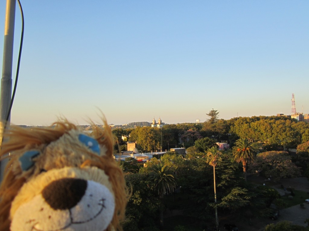 Lewis the Lion looks onto the picturesque town of Colonia
