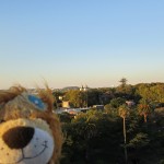 Lewis the Lion looks onto the picturesque town of Colonia