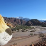 Lewis sees the shallow river in the Las Conchas Gorge