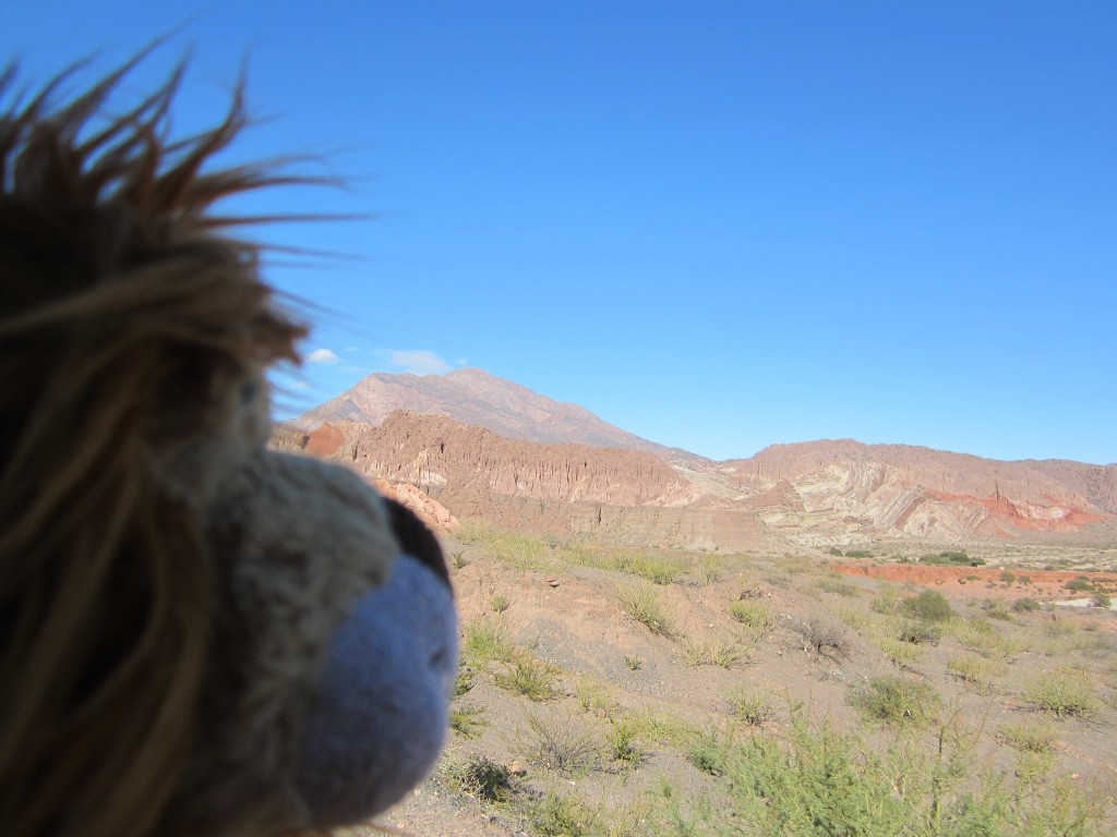 Lewis looks out onto the dramatic scenery heading towards Cafayate