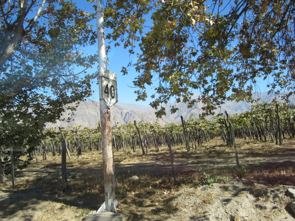 20120608-224035.jpg