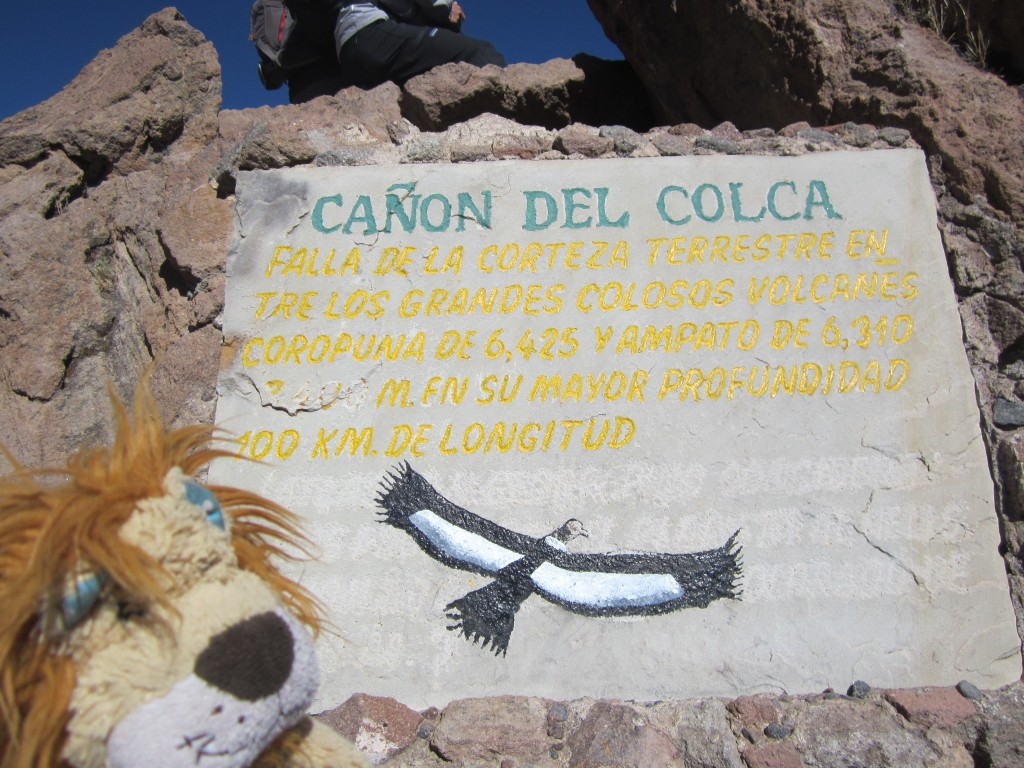 Lewis the Lion reads the information on the Colca Canyon