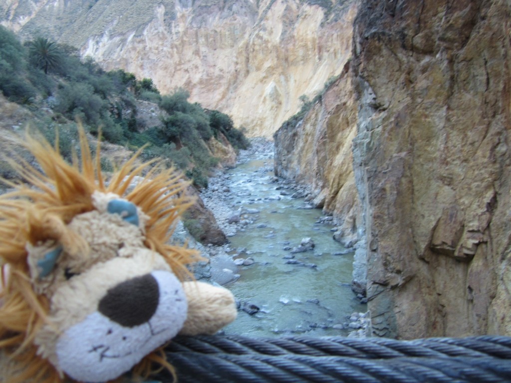 Lewis reaches the river cutting through the deep canyon