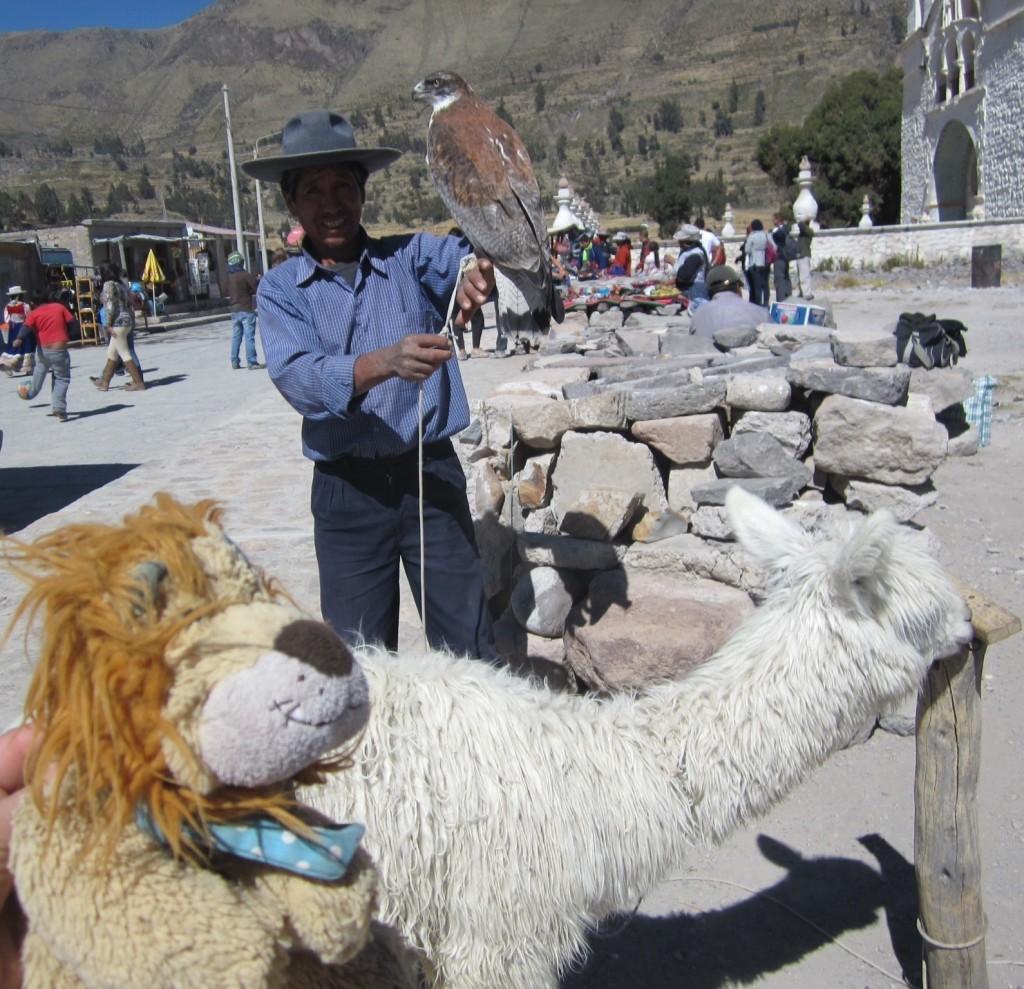 Lewis meets some traditional Peruvian animals