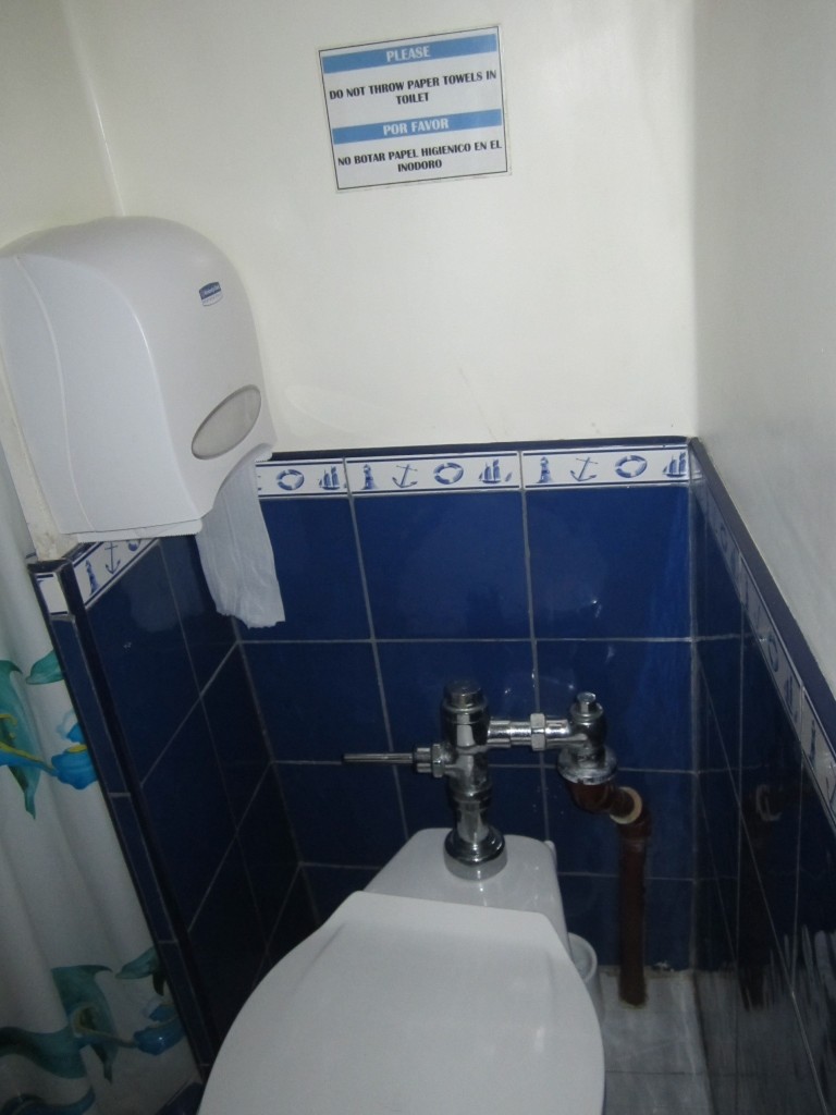 A typical toilet in South America