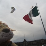 Lewis the Lion sees kites flying around