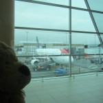 Lewis the Lion sees the aeroplane which will take him to Mexico