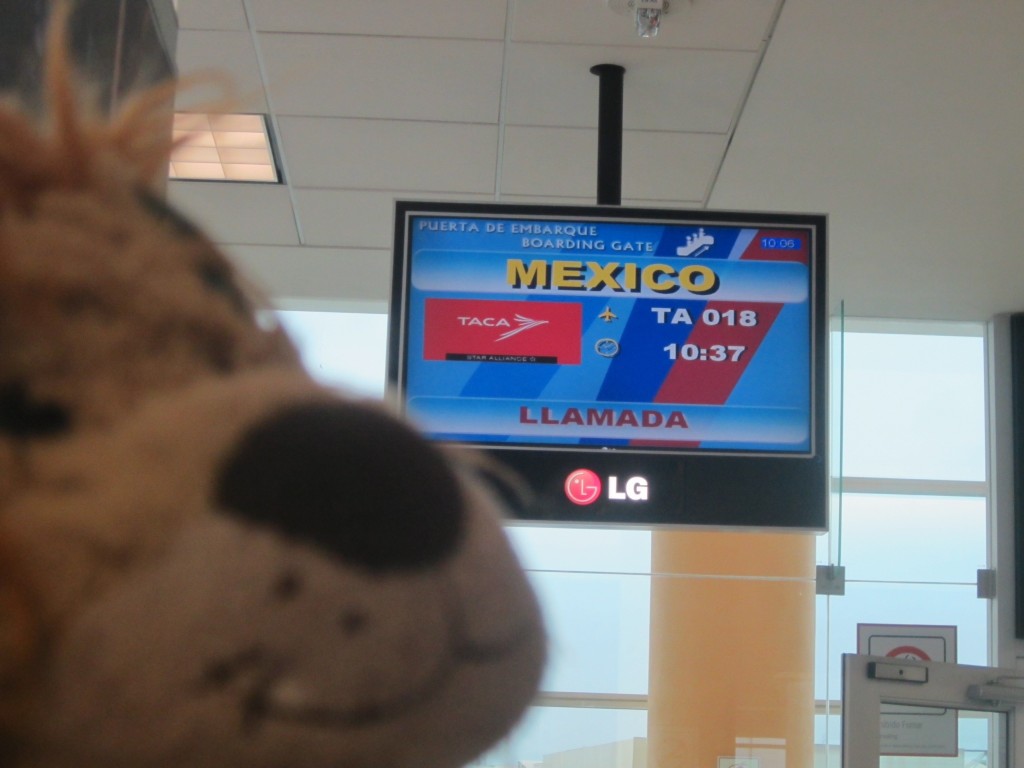 Lewis waits to board his flight to Mexico