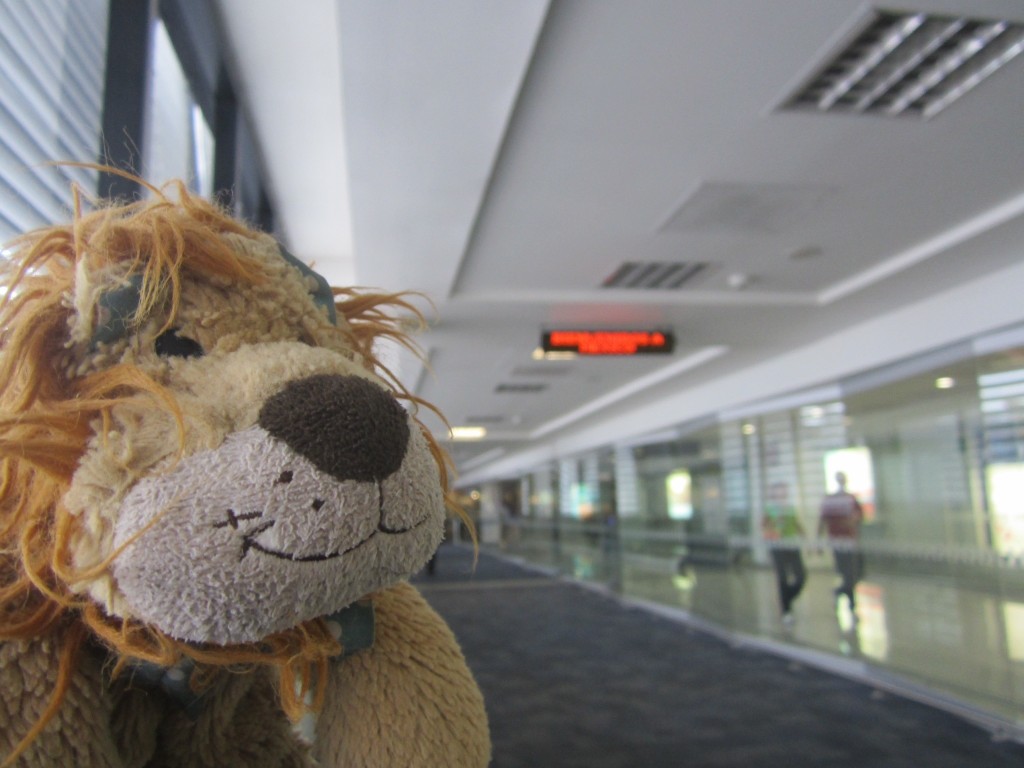 Lewis the Lion sees a sign welcoming him to Mexico