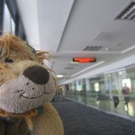 Lewis the Lion sees a sign welcoming him to Mexico