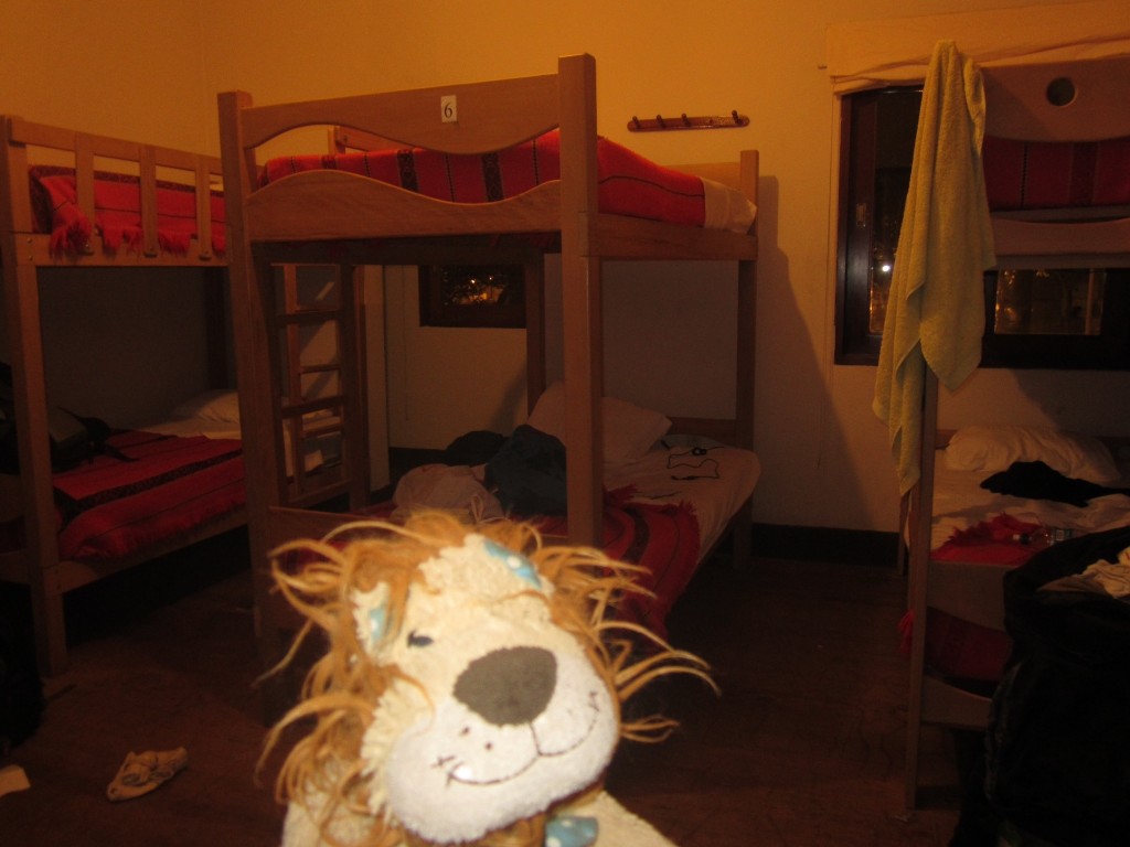Lewis the Lion shows some typical hostel bunkbeds