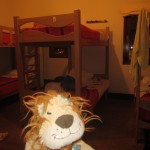 Lewis the Lion shows some typical hostel bunkbeds