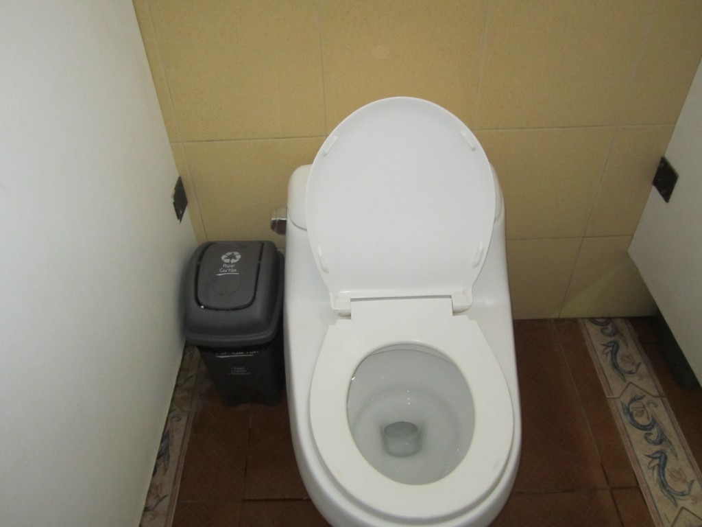 The waste bin is beside the toilet so you don't flush the paper