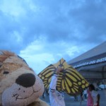 Lewis the Lion likes this butterfly kite
