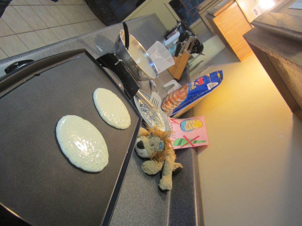 Lewis the Lion has more fresh pancakes in a different hostel