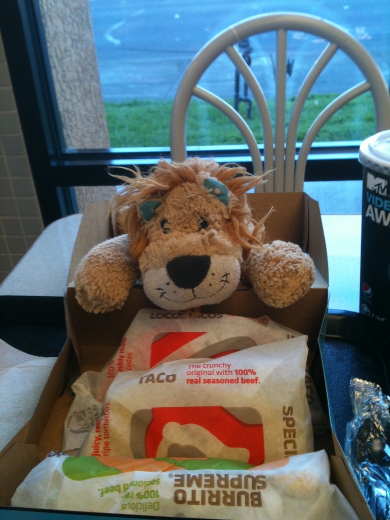 Lewis the Lion is introduced to American Mexican tacos and burritos