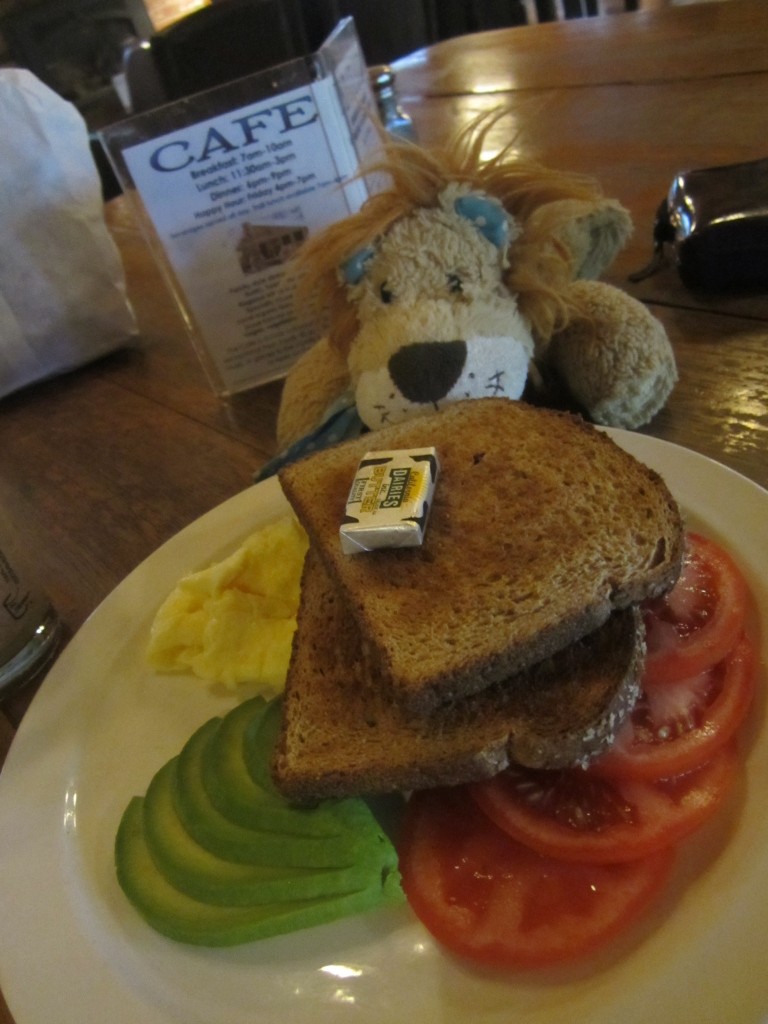 Lewis the Lion and a Californian breakfast