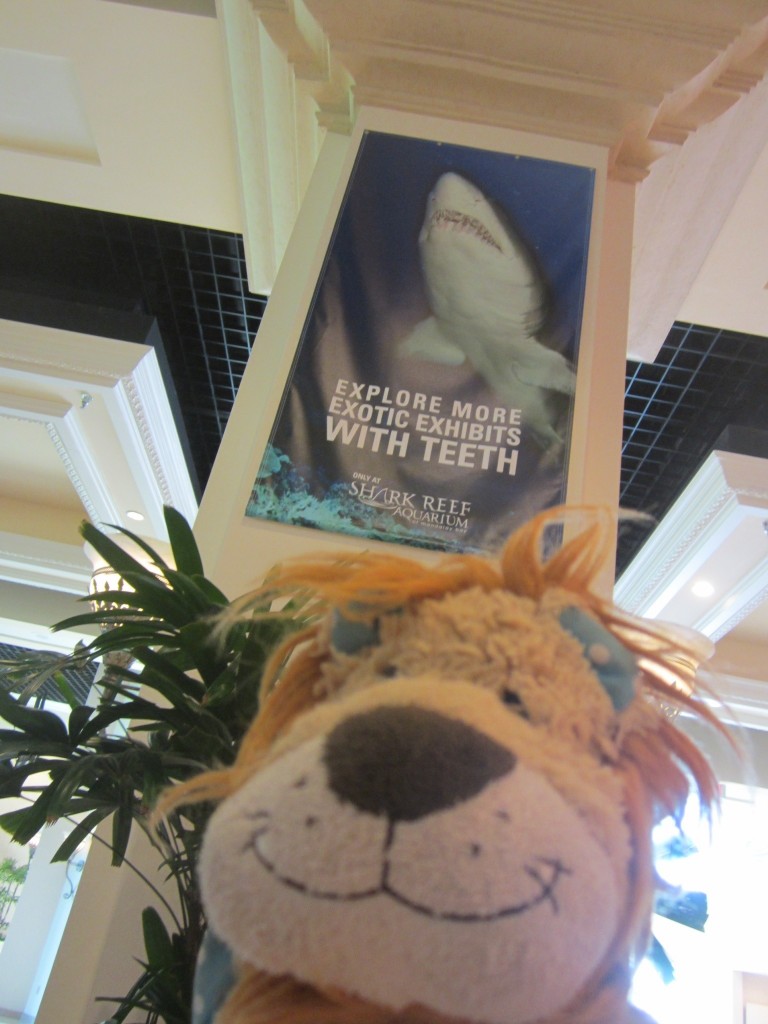 Lewis the Lion gets nervous at the thought of seeing sharks