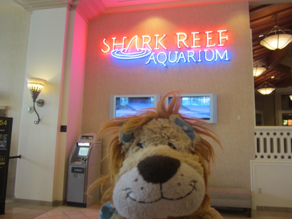 Lewis the Lion is happy to visit the Shark Reef Aquarium in Las Vegas