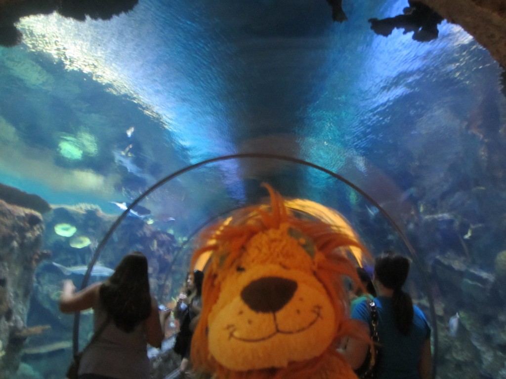 Lewis the Lion stands in the shark tunnel