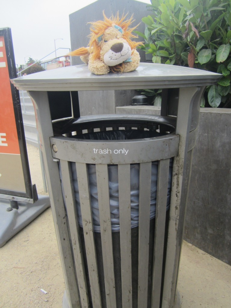 Lewis the Lion sits on a trash can - a litter bin