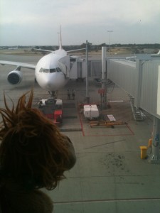 Lewis the Lion gets ready to fly out of Australia 
