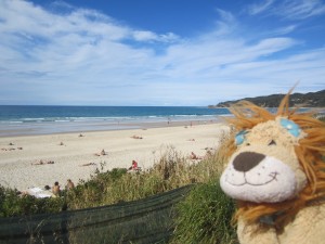 Lewis the Lion looks along the beach towards Byron Bay lighthouse