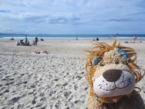 Lewis the Lion 'Byron Bay's it' on the beach!