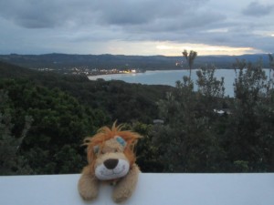 Lewis the Lion looks back over Byron Bay