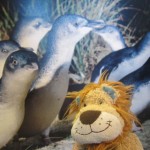 Lewis the Lion thinks the Little Penguins are really sweet