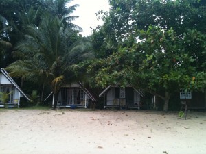 Lewis the Lion's chalet on the beach is hidden between the palm trees