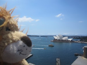 Lewis the Lion looks over to the Sydney Opera House