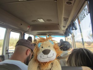 Lewis the Lion is happy to be in Australia's Red Centre