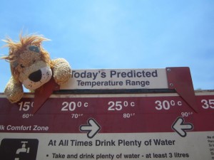 Lewis the Lion checks out the weather warning