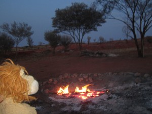 Lewis the Lion and the bush campfire