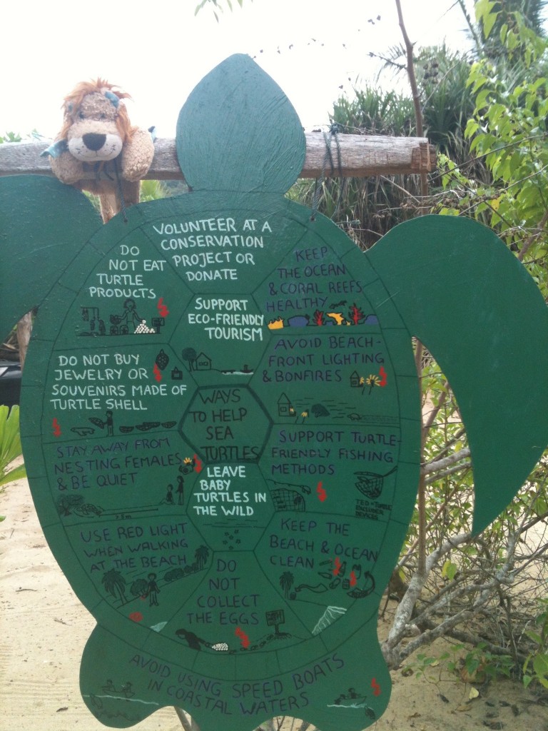 Lewis the Lion learns how we can all help save the Sea Turtles