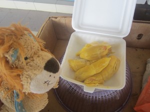 Lewis holds his breath whilst he investigates what a durian looks like inside