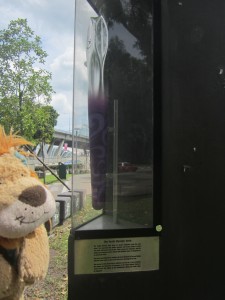 Lewis the Lion sees the Youth Olympic Games Torch