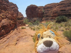 Lewis the Lion admires the layers of sedimentary, red rock in the Kings Canyon