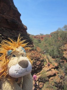Lewis the Lion is surprised by the amount of plants surviving in this arid terrain