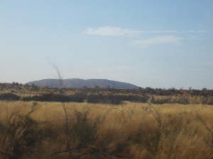 Lewis the Lion sees Uluru for the first time through the bus window