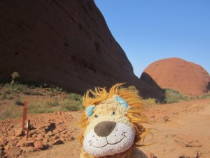 Lewis the Lion loves the lumpy, red rocks of Kata Tjuta 