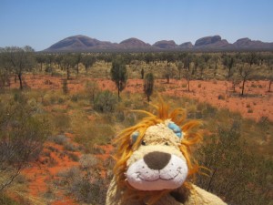 Lewis the Lion sees the distinctive Kata Tjuta from a distance