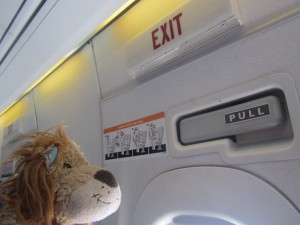 Lewis the Lion is sat next to an emergency exit on the plane