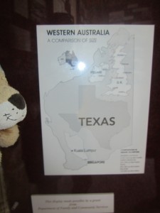 Lewis the Lion is surprised by the huge size of the Western Australia state